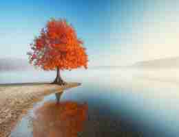 自‌动﻿搜‍索‌引﻿擎‍